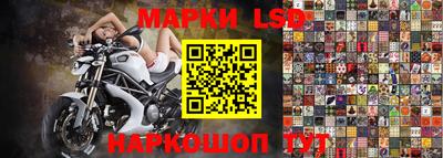 соль ск Будённовск