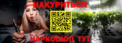 прущие грибы Заводоуковск