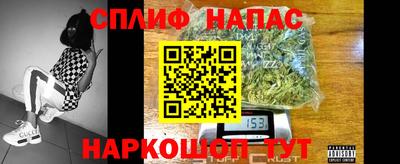 прущие грибы Заводоуковск