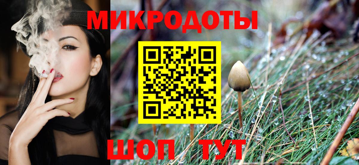 Галлюциногенные грибы Magic Shrooms  продажа наркотиков  Вход с VPN  Геленджик  Псилоцибиновые грибы прущие грибы 
