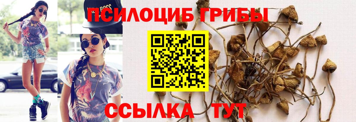Галлюциногенные грибы ЛСД Геленджик